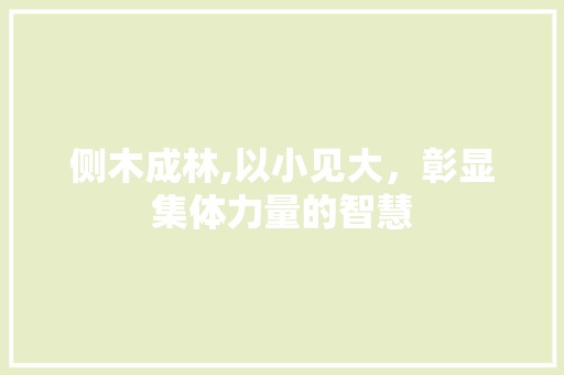 侧木成林,以小见大，彰显集体力量的智慧