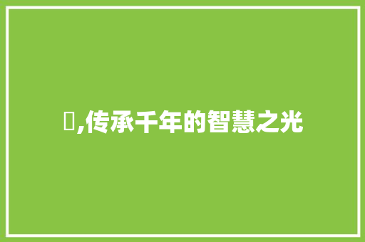 傤,传承千年的智慧之光