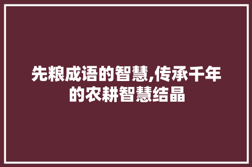 先粮成语的智慧,传承千年的农耕智慧结晶