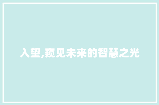 入望,窥见未来的智慧之光