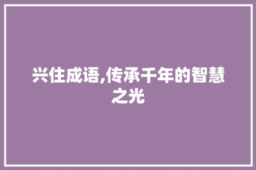 兴住成语,传承千年的智慧之光