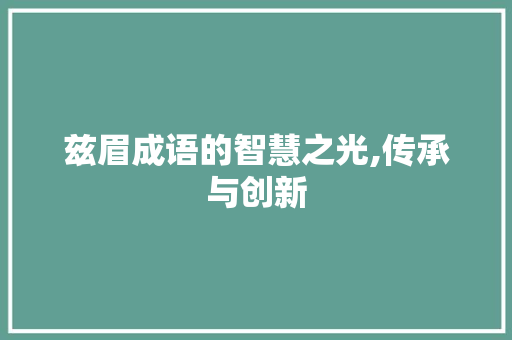 兹眉成语的智慧之光,传承与创新