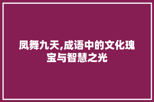 凤舞九天,成语中的文化瑰宝与智慧之光