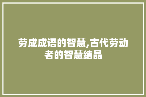 劳成成语的智慧,古代劳动者的智慧结晶