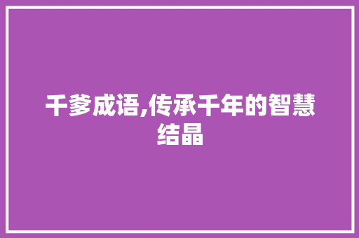 千爹成语,传承千年的智慧结晶