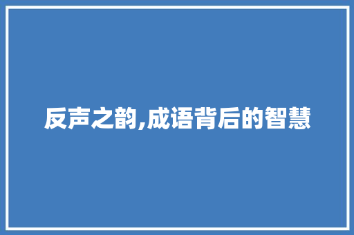 反声之韵,成语背后的智慧