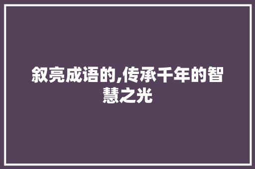 叙亮成语的,传承千年的智慧之光