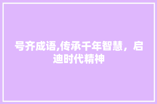 号齐成语,传承千年智慧，启迪时代精神