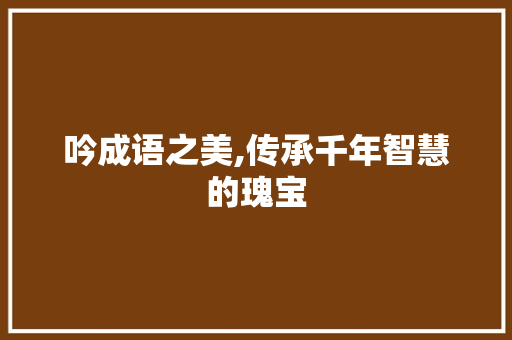 吟成语之美,传承千年智慧的瑰宝