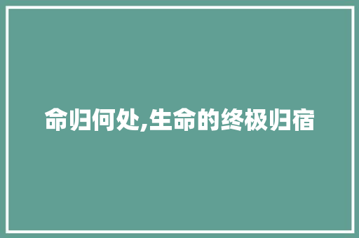 命归何处,生命的终极归宿