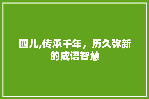 四儿,传承千年，历久弥新的成语智慧