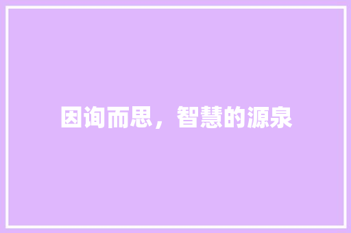 因询而思，智慧的源泉