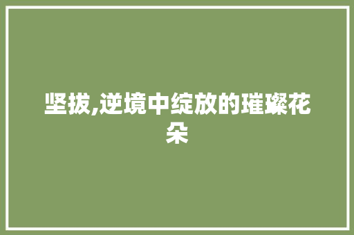 坚拔,逆境中绽放的璀璨花朵