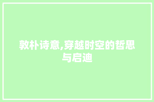 敦朴诗意,穿越时空的哲思与启迪