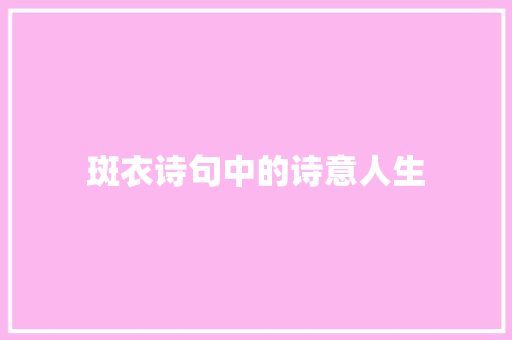 斑衣诗句中的诗意人生