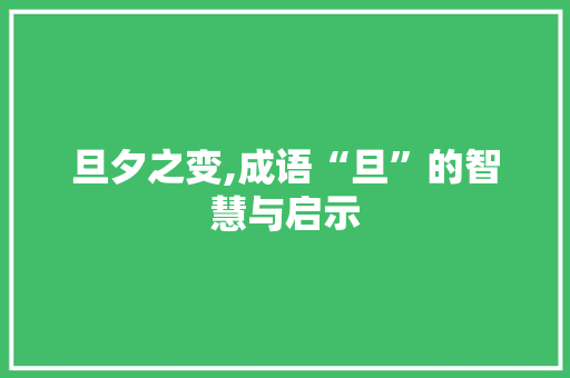 旦夕之变,成语“旦”的智慧与启示