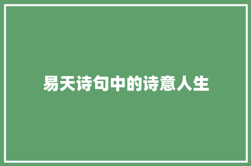 易天诗句中的诗意人生