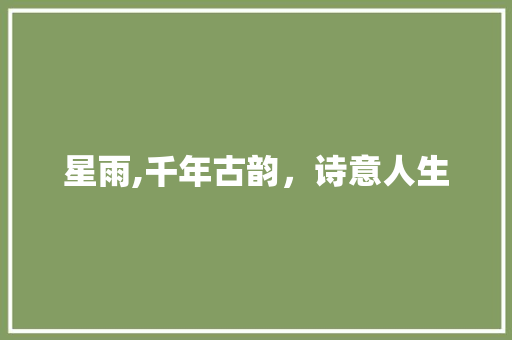 星雨,千年古韵，诗意人生