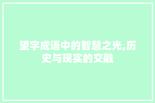 望字成语中的智慧之光,历史与现实的交融
