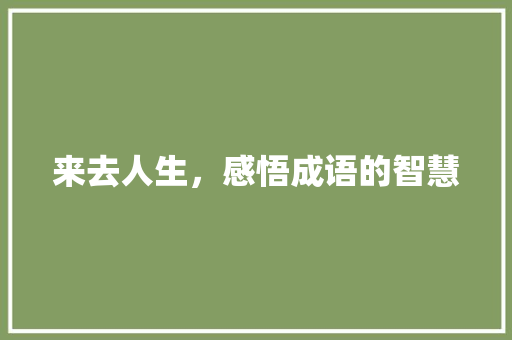 来去人生，感悟成语的智慧
