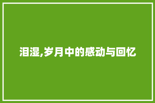 泪湿,岁月中的感动与回忆