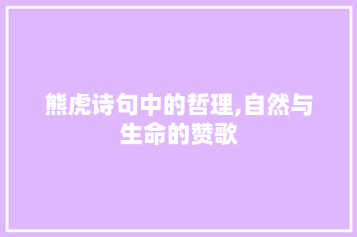 熊虎诗句中的哲理,自然与生命的赞歌