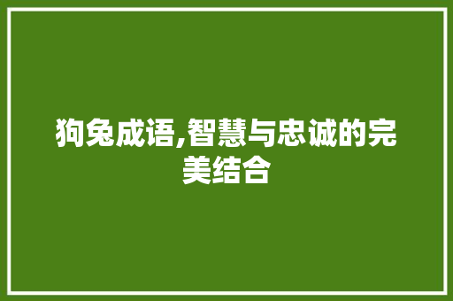 狗兔成语,智慧与忠诚的完美结合