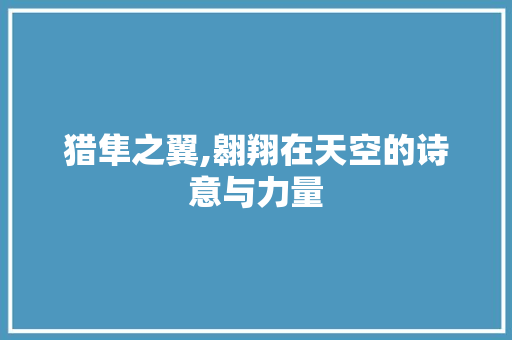 猎隼之翼,翱翔在天空的诗意与力量