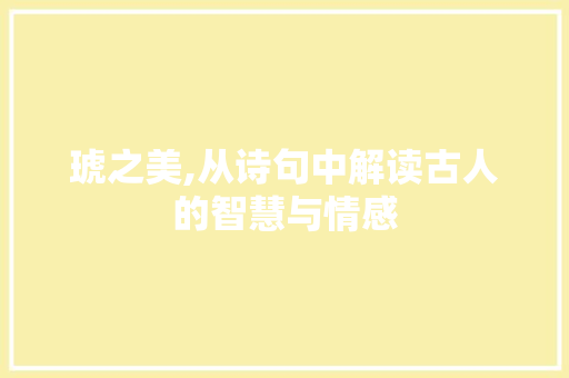 琥之美,从诗句中解读古人的智慧与情感
