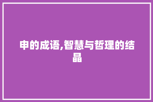 申的成语,智慧与哲理的结晶