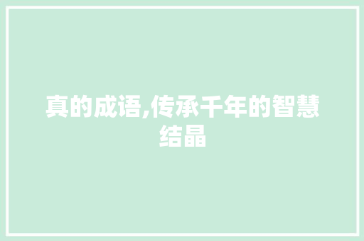 真的成语,传承千年的智慧结晶