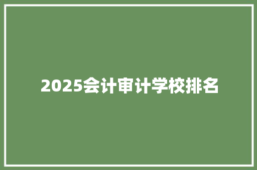 2025会计审计学校排名