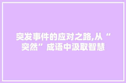 突发事件的应对之路,从“突然”成语中汲取智慧