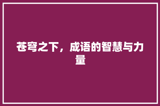 苍穹之下，成语的智慧与力量