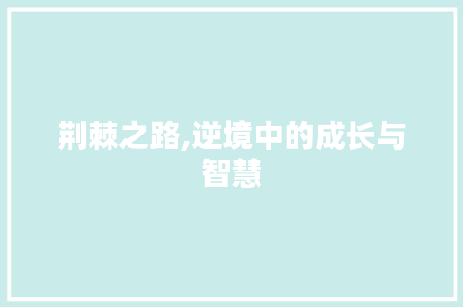 荆棘之路,逆境中的成长与智慧