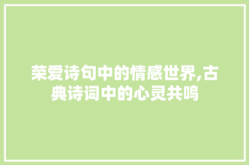 荣爱诗句中的情感世界,古典诗词中的心灵共鸣