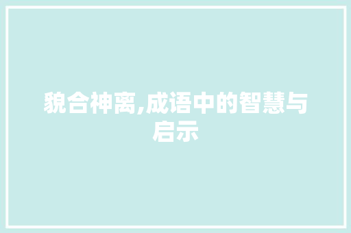 貌合神离,成语中的智慧与启示