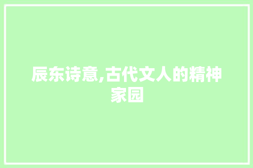 辰东诗意,古代文人的精神家园