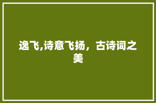 逸飞,诗意飞扬，古诗词之美