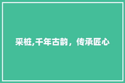 采桩,千年古韵，传承匠心