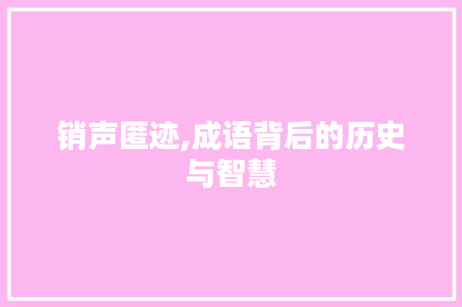 销声匿迹,成语背后的历史与智慧
