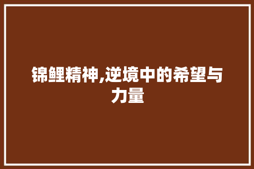 锦鲤精神,逆境中的希望与力量