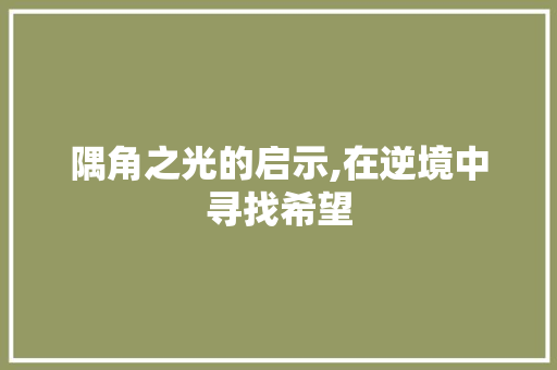 隅角之光的启示,在逆境中寻找希望
