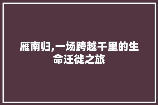 雁南归,一场跨越千里的生命迁徙之旅