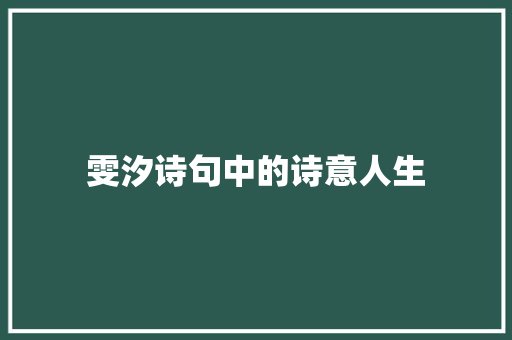 雯汐诗句中的诗意人生