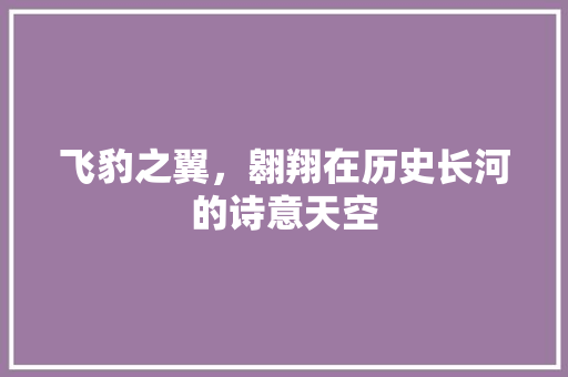 飞豹之翼，翱翔在历史长河的诗意天空