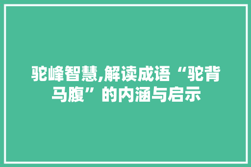 驼峰智慧,解读成语“驼背马腹”的内涵与启示