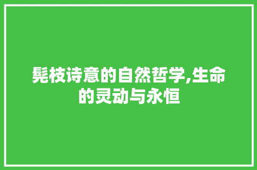 髡枝诗意的自然哲学,生命的灵动与永恒