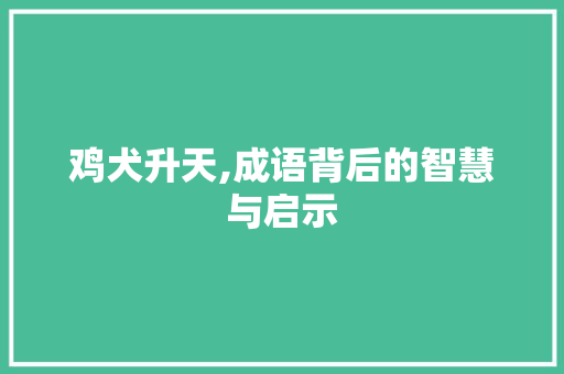 鸡犬升天,成语背后的智慧与启示