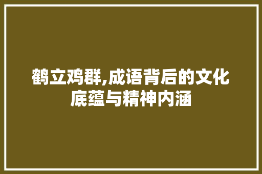鹤立鸡群,成语背后的文化底蕴与精神内涵
